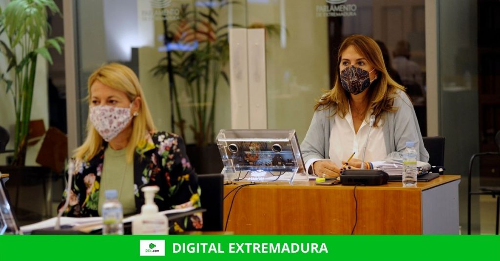 El PP considera que la comisión que propone el PSOE sobre las listas de espera del SES es una tapadera El PP considera que la comisión que propone el PSOE sobre las listas de espera del SES es una tapadera