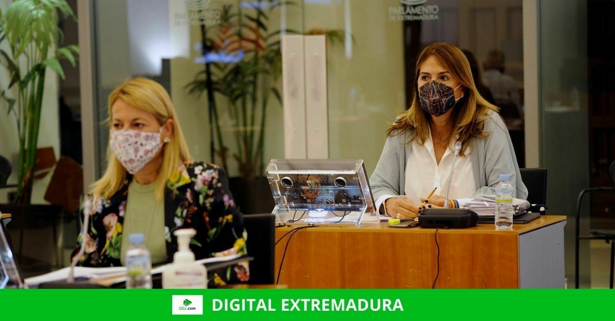 El PP considera que la comisión que propone el PSOE sobre las listas de espera del SES es una tapadera