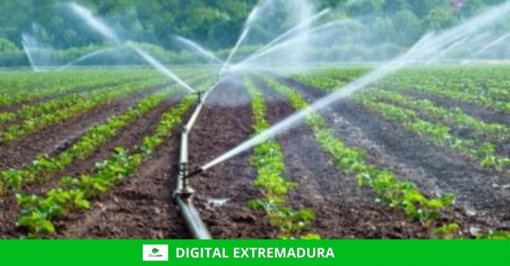El agua y el sector agroalimentario