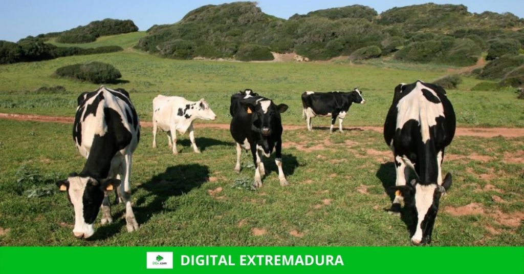 La Fundación Savia demanda agua para la ganadería extensiva La Fundación Savia demanda agua para la ganadería extensiva