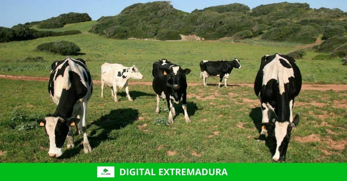 La Fundación Savia demanda agua para la ganadería extensiva