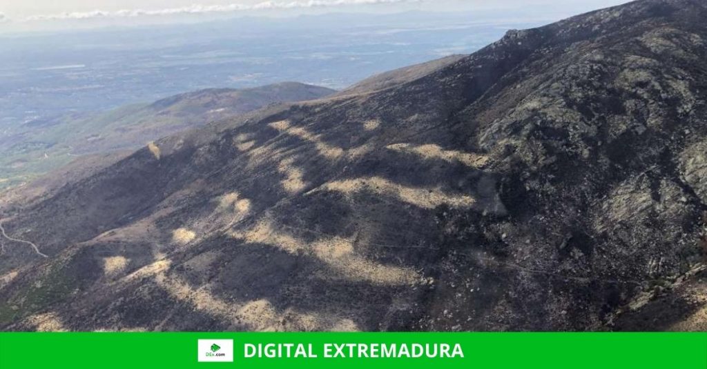 La Junta prohíbe cazar en los terrenos forestales afectados por el incendio de los Valles del Jerte y La Vera La Junta prohíbe cazar en los terrenos forestales afectados por el incendio de los Valles del Jerte y La Vera