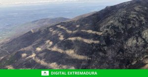 La Junta prohíbe cazar en los terrenos forestales afectados por el incendio de los Valles del Jerte y La Vera