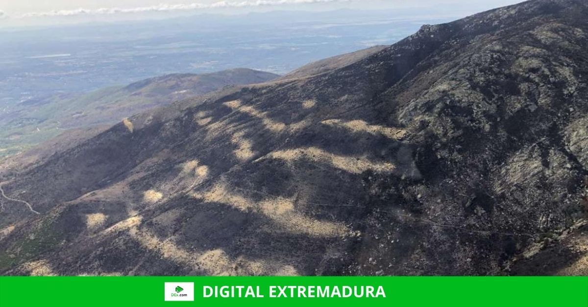 La Junta prohíbe cazar en los terrenos forestales afectados por el incendio de los Valles del Jerte y La Vera