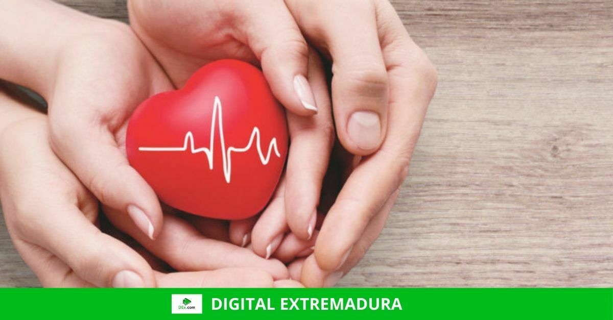 Las 3 mejores cosas para tener un buen sistema inmunológico son gratis