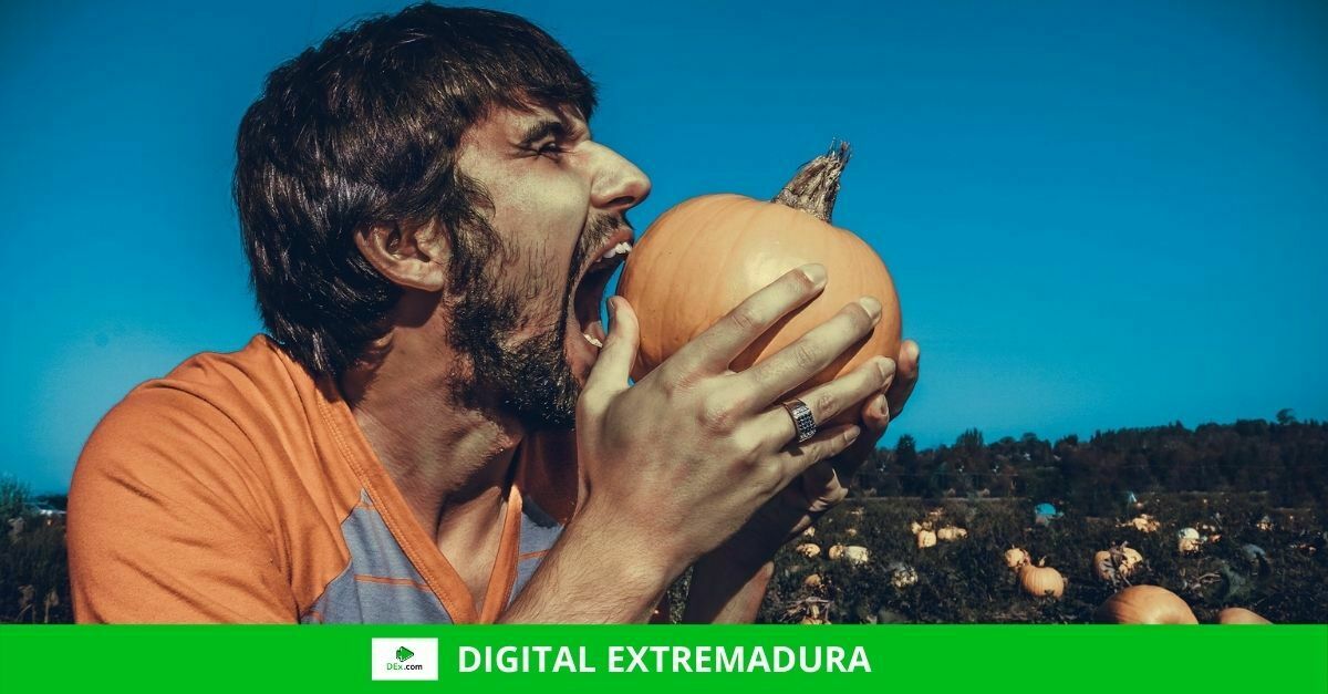 20 ideas para emprender en el mundo rural y ayudas en Extremadura para hacerlo