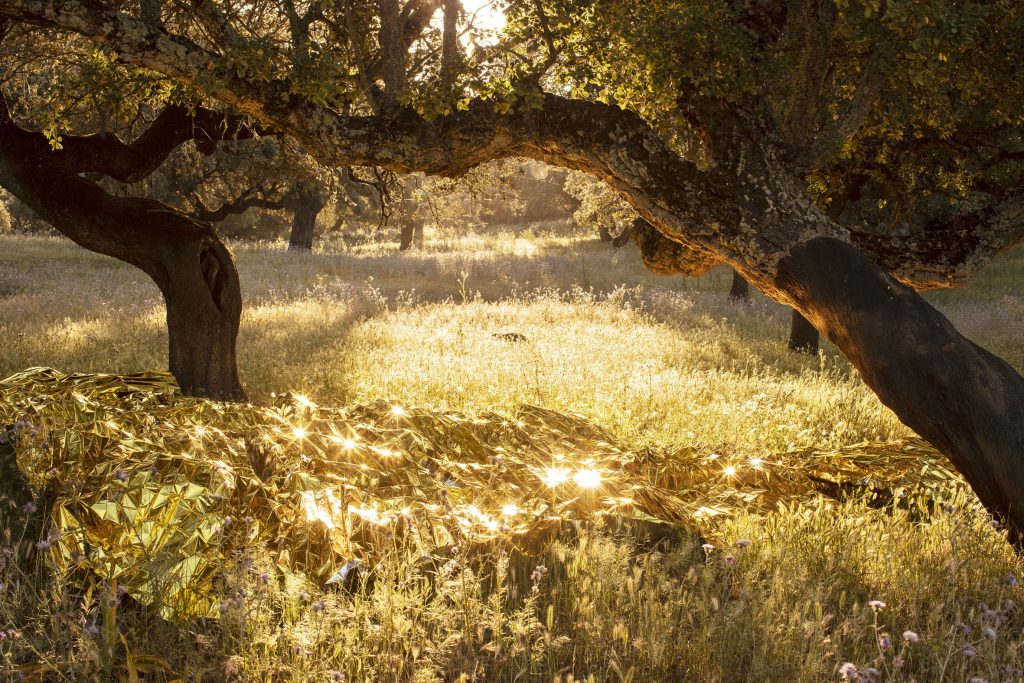 PAULA ANTA, GANADORA DE LA IV EDICION DEL PREMIO INTERNACIONAL DE FOTOGRAFÍA “SANTIAGO CASTELO” 2020 AURUM 03 Paula Anta Prensa