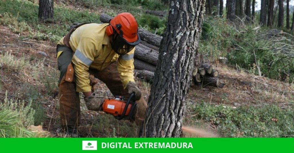 El Plan INFOEX interviene en 25 incendios forestales durante esta semana