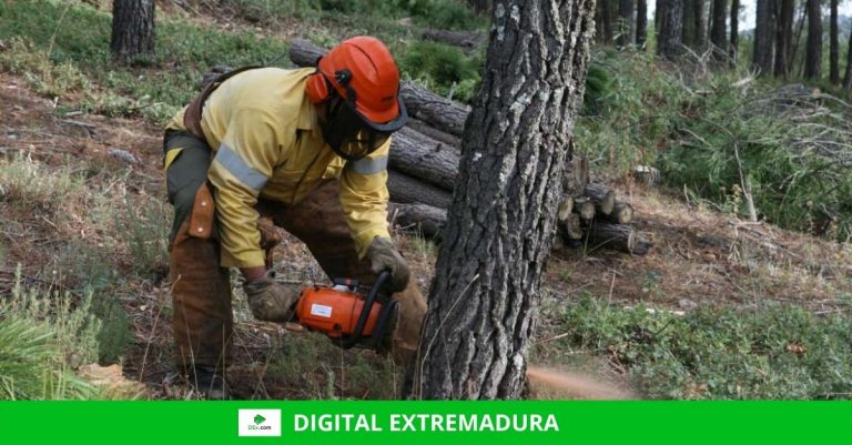 El Plan INFOEX interviene en 25 incendios forestales durante esta semana