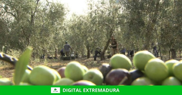 Firmado el convenio para analizar el sector cooperativista agroalimentario con vistas a desarrollar la estrategia autonómica