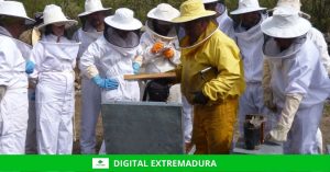 Las cooperativas y entidades de economía social de Extremadura pueden solicitar, desde este lunes, las ayudas para mantener y crear empleo
