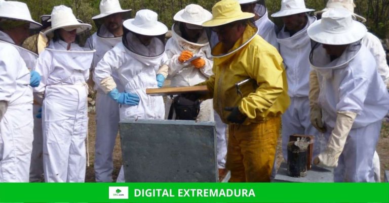 Las cooperativas y entidades de economía social de Extremadura pueden solicitar, desde este lunes, las ayudas para mantener y crear empleo