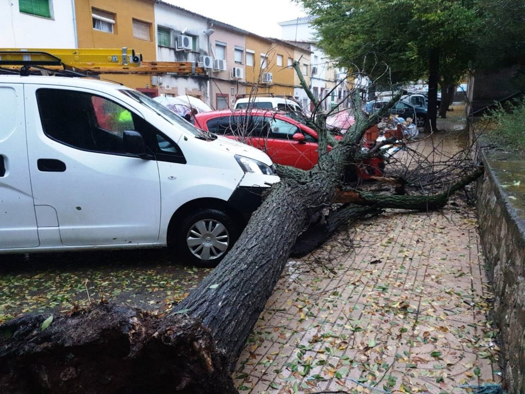 Extremadura activa el rescate exprés tras los temporales: hasta 150.000€ y sin tributar borrasca caceres