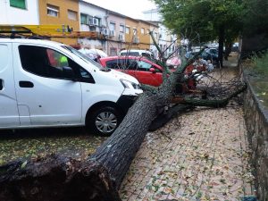 borrasca caceres