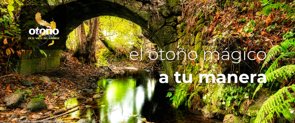 Presentada la XXIII edición del Otoño Mágico del Valle del Ambroz otono magico