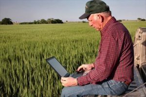 Agroinformacion.com31052015 104108