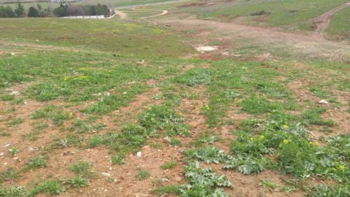CAMPO DEGRADADO