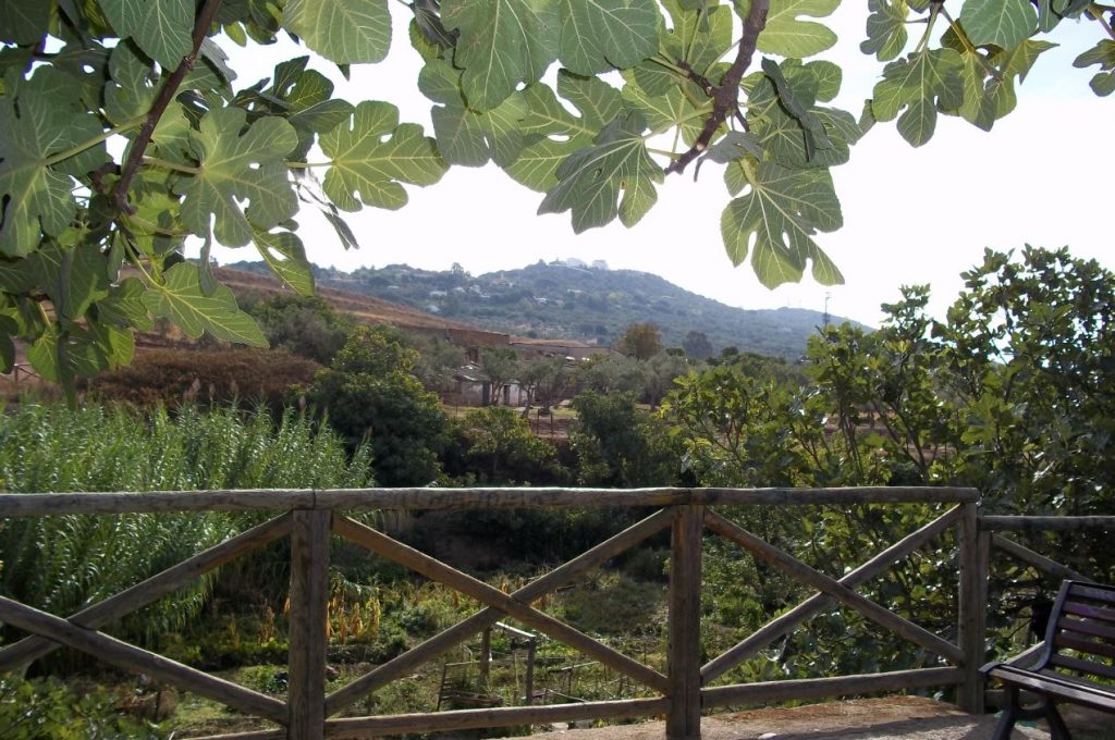 Programadas tres rutas turísticas por la ciudad de Cáceres mirador fuente fria