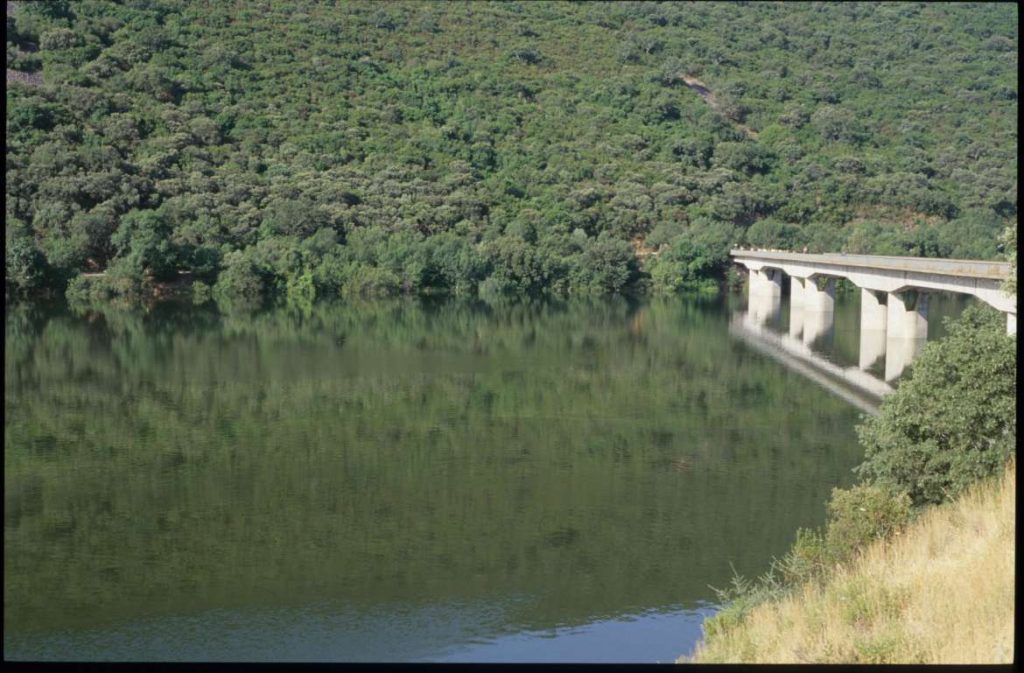 puente nuevo tajo