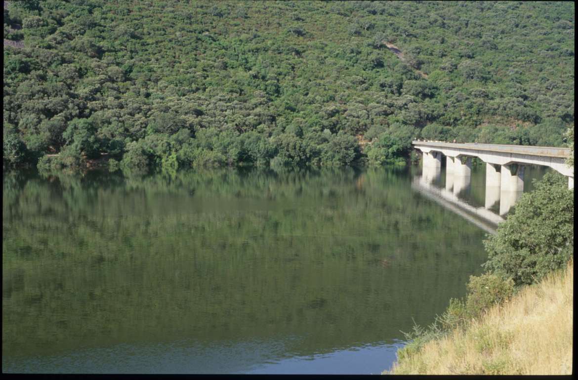 puente nuevo tajo