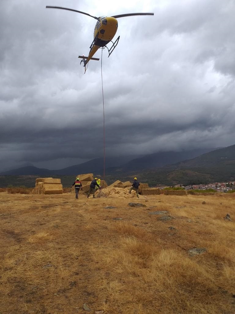 20201214 restauracion forestal