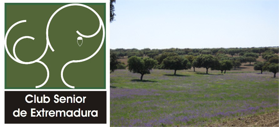 CLUB SENIOR EXTREMADURA