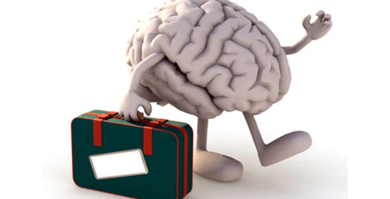 Fundesalud y Roche lanzan una beca de 60.000 euros para retener el talento científico y fomentar la investigación fuga de cerebros mexico 770x392 1