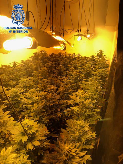 marihuana Badajoz
