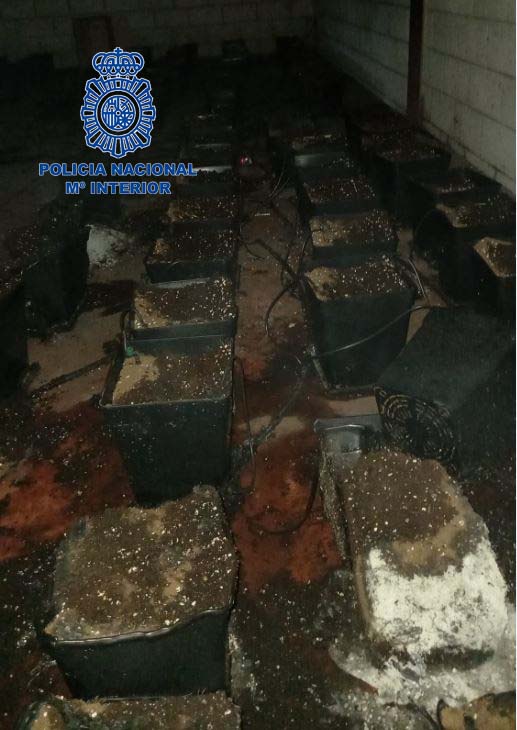 nave incendio plantas