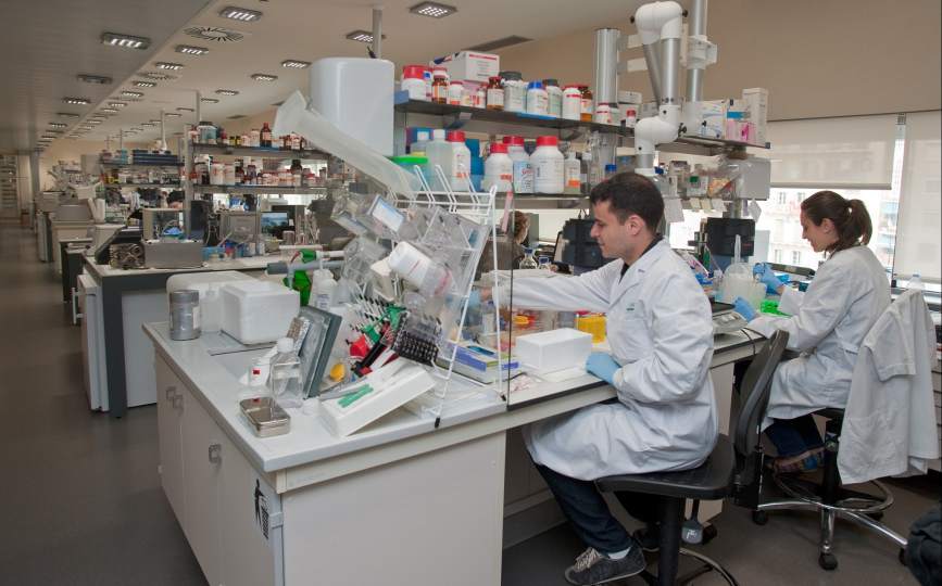 INVESTIGADORES