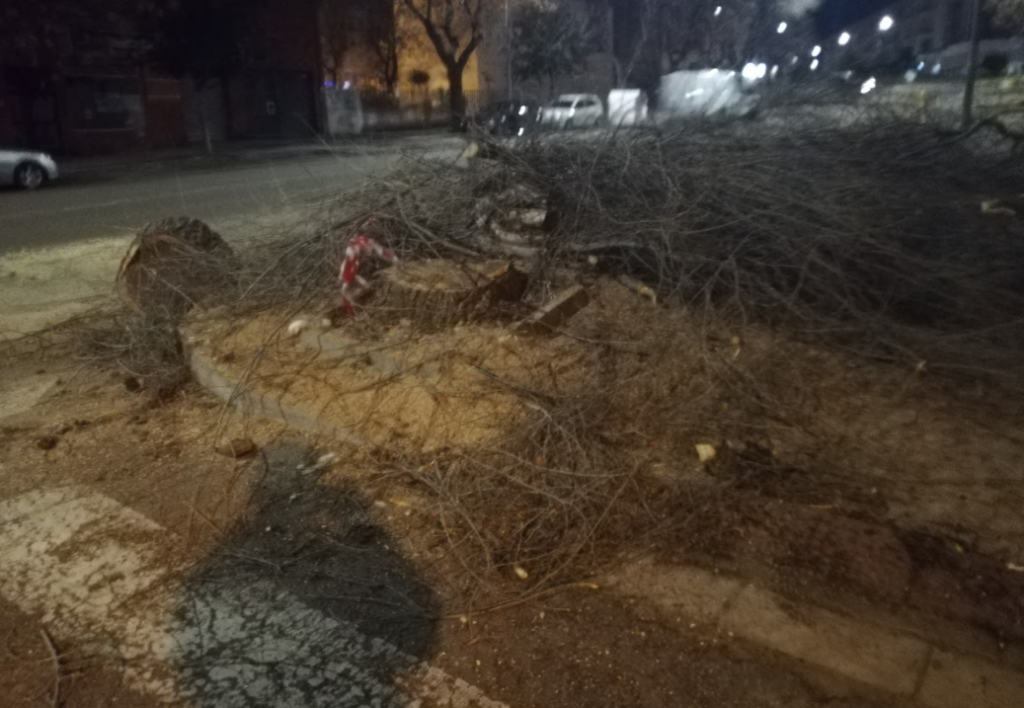 El Ayuntamiento de Mérida, nominado a La Motosierra de Atila tala me