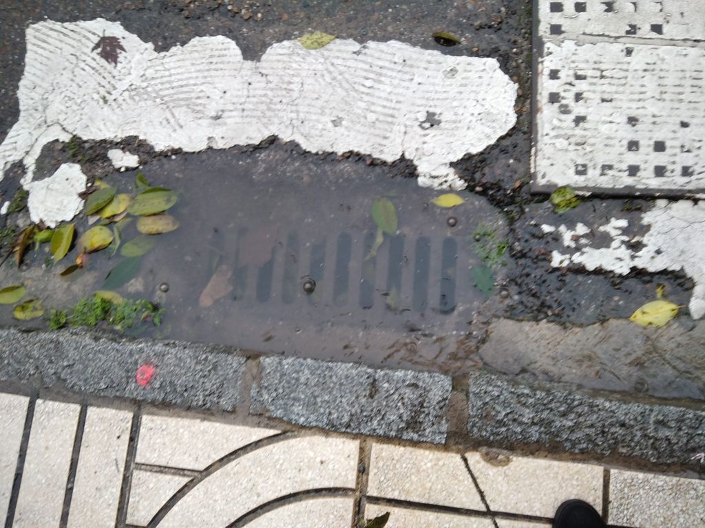 El PSOE califica de insuficiente el esfuerzo para limpiar alcantarillas e imbornales en Badajoz Imbornal atascado badajoz