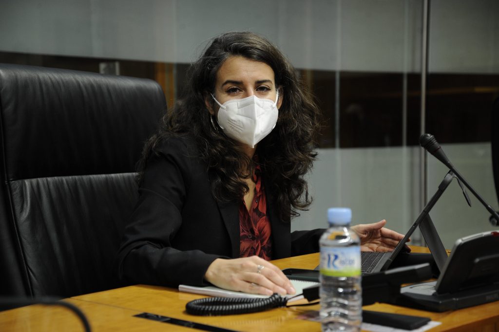 La Asamblea aprueba la propuesta de Unidas Por Extremadura para garantizar el suministro eléctrico en la región Irene de Miguel pleno