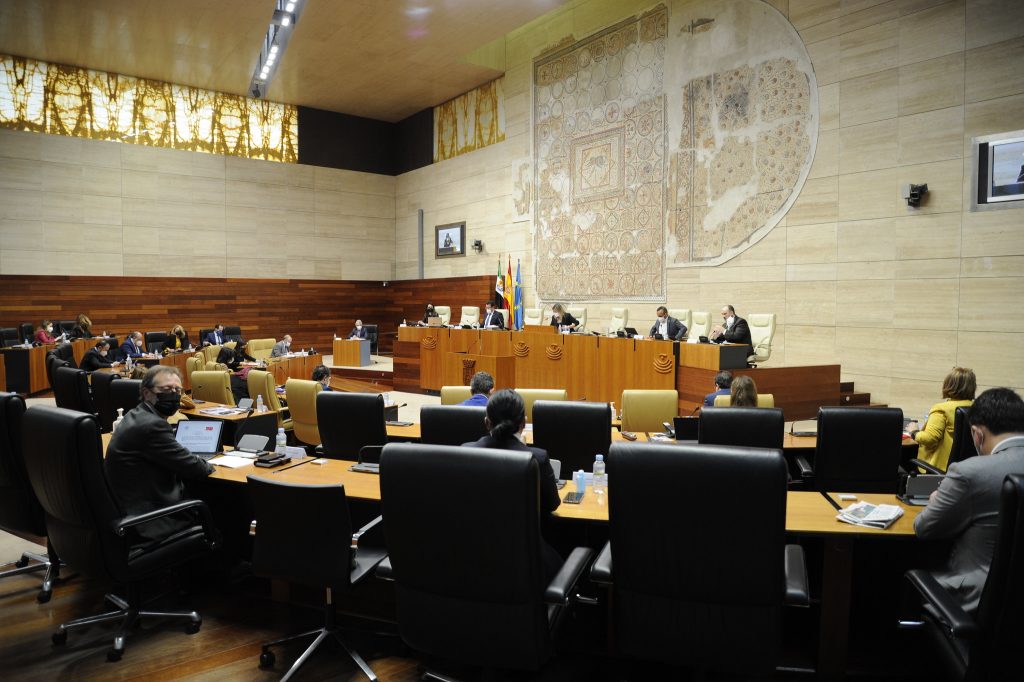 El Grupo Socialista extremeño destaca el diálogo con el sector del comercio y la hostelería para establecer un escudo social en la pandemia asamblea
