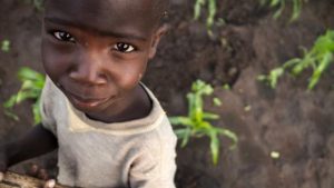 seguridad alimentaria 3 savethechildren