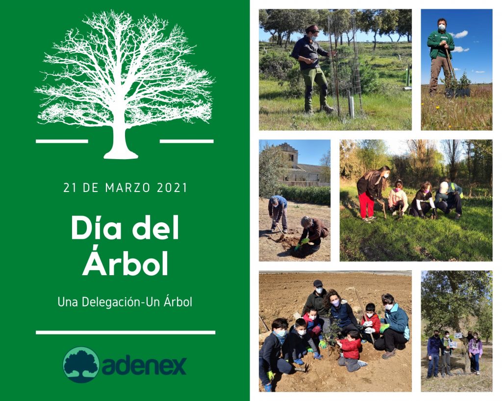 ADENEX celebra el Día del Árbol con plantaciones en diferentes comarcas de la región Cartel Dia del Arbol