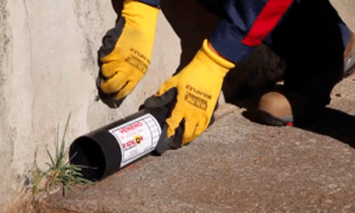 La campaña de desratización se intensifica en las barriadas cacereñas DESRATIZACION