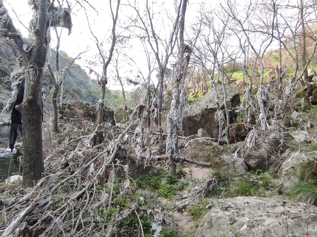 ADENEX denuncia el deficiente estado de conservación del río Jerte a su paso por Plasencia y propone un plan de recuperación de la zona Toallitas rio Jerte en Plasencia Image 2021 03 06 at 15.09.41 1