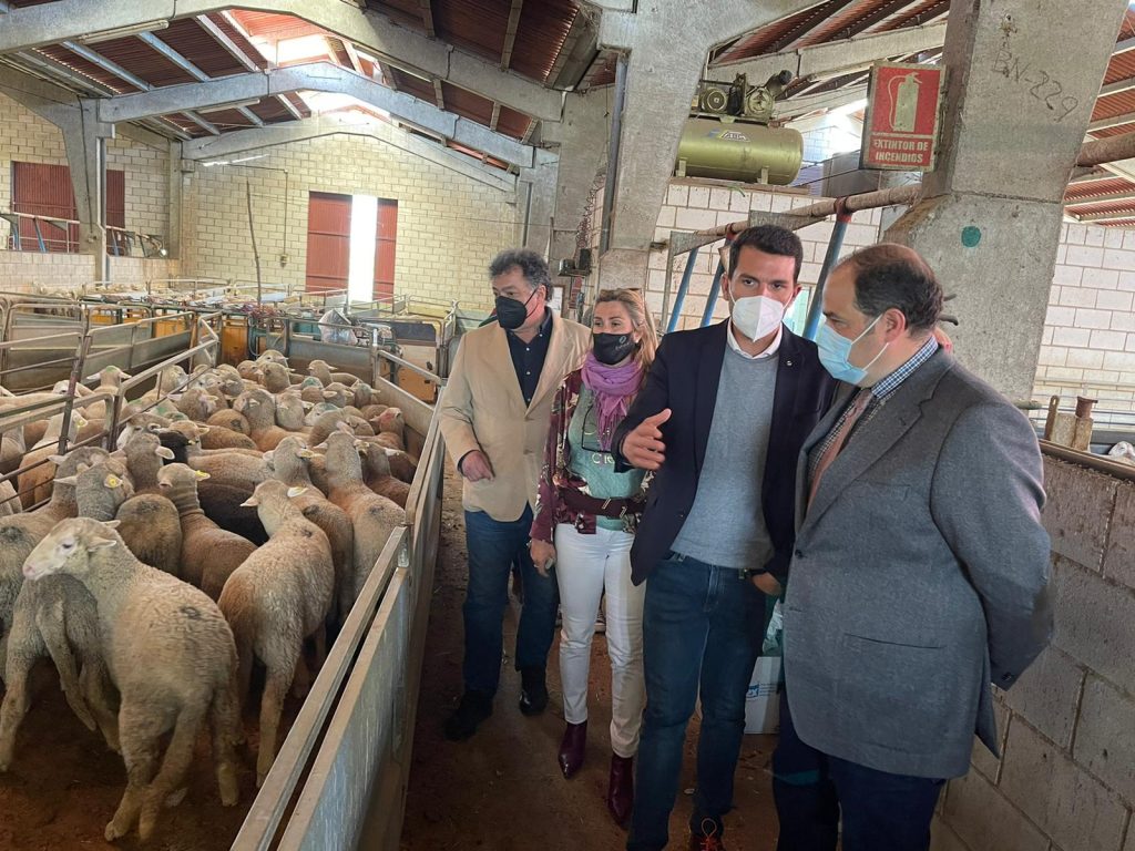 Jóvenes del medio rural cacereño se forman en sacrificio, faenado y despiece animal a través del programa Juventas Forma de la Diputación de Cáceres alvaro ovejas