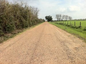 camino rural 1
