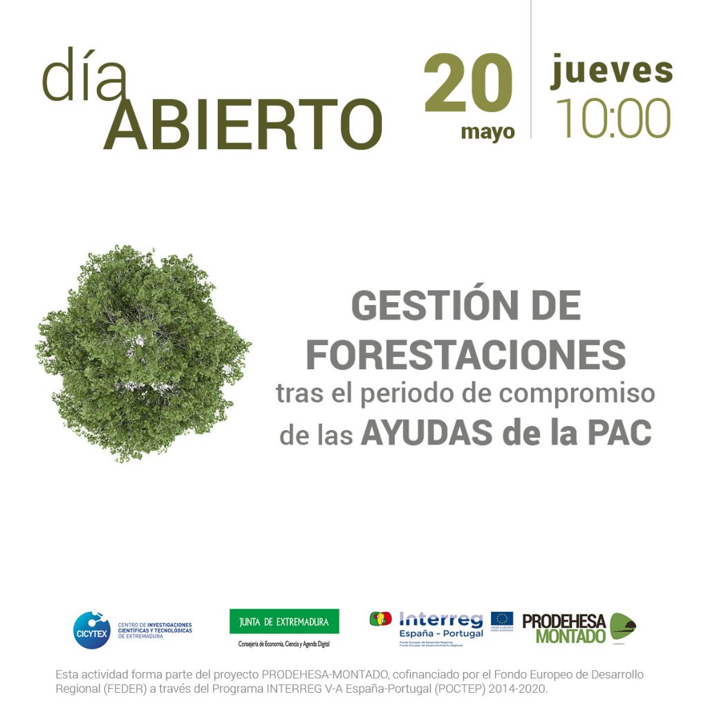 Seminario web dedicado a la gestión de forestaciones de tierras agrarias cartel
