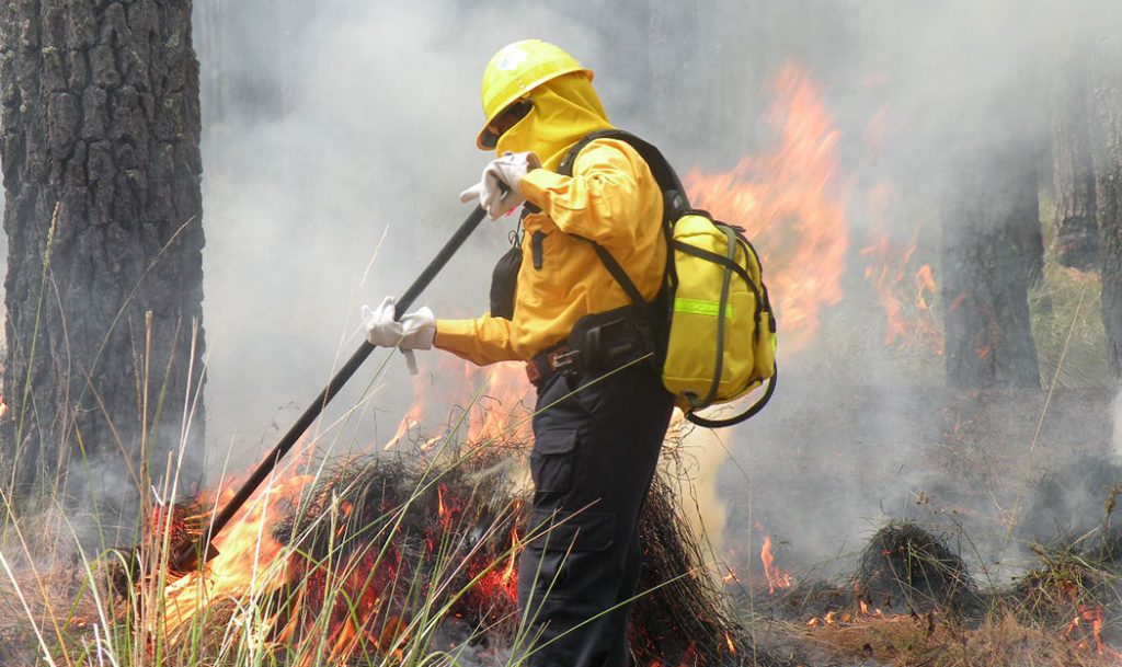 Continúan los trabajos para la prevención de incendios en la Zona de Alto Riesgo de Sierra de Gata incendio