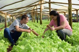 jovenes agricultores