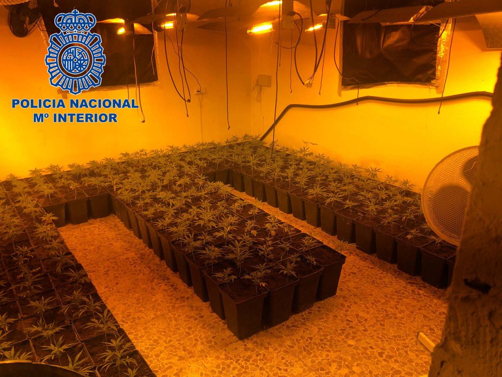 Detenidos tres hombres por tráfico de drogas y atentado a agente de la autoridad en Mérida marihuana Merida