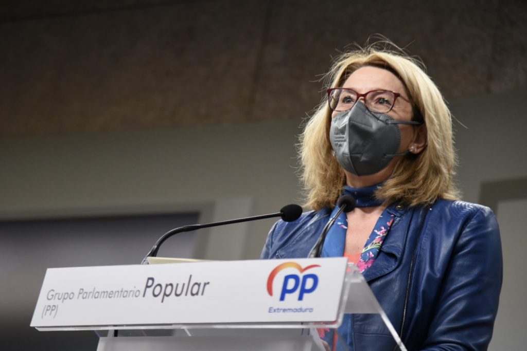 El PP solicita una comisión de investigación que determine las responsabilidades políticas del expolio al Festival de Mérida teniente pp mascarilla