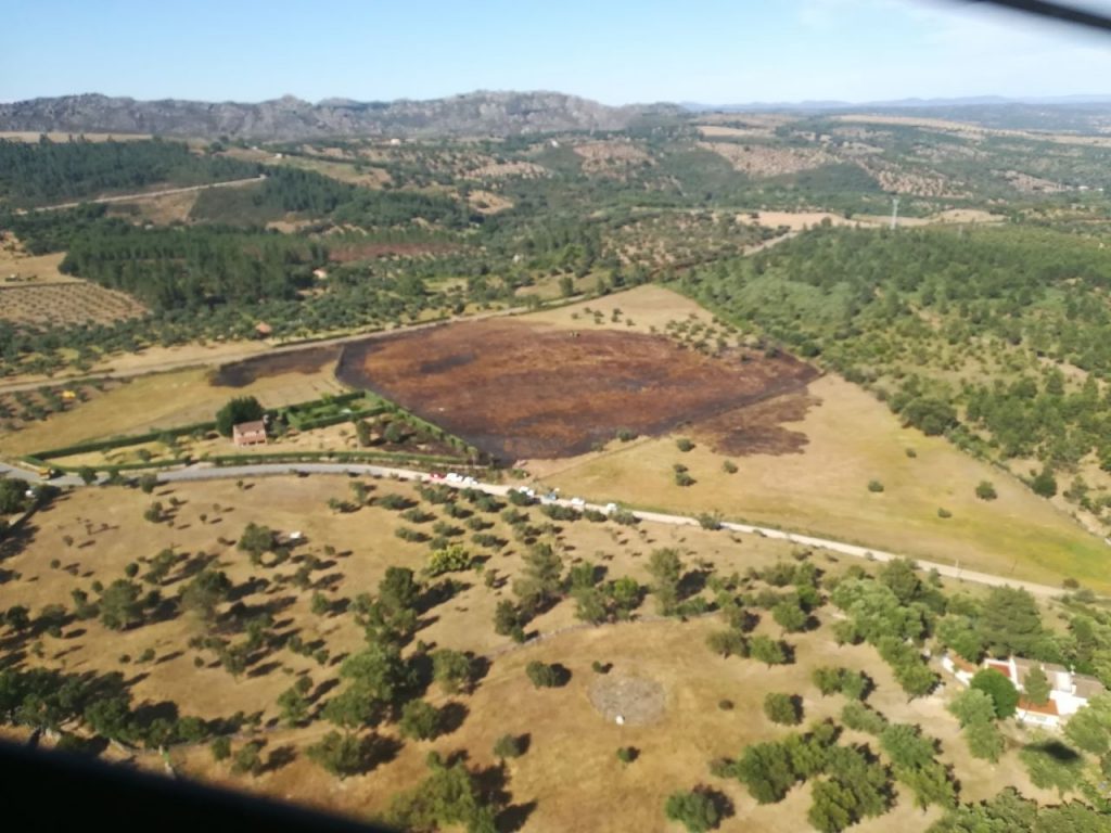 Doce incendios forestales durante la primera semana de la Época de Peligro Alto INCENDIOS 01