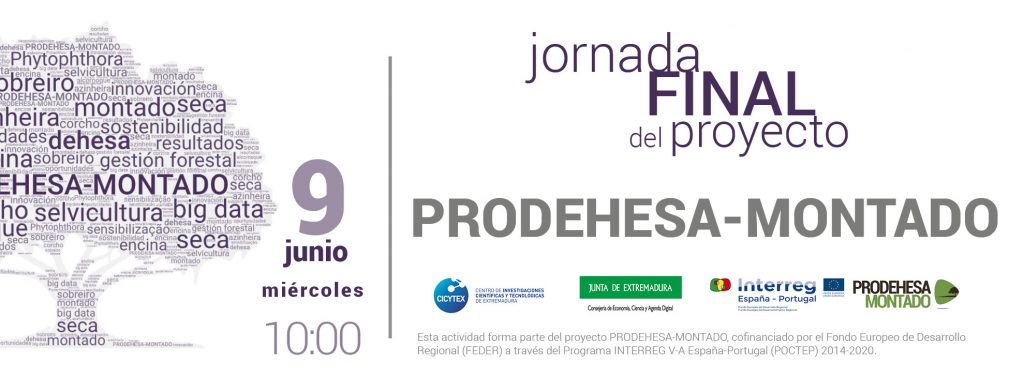 El 9 de junio, jornada final para la divulgación de resultados del proyecto PRODEHESA-MONTADO PRODEHESA MONTADO