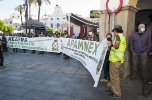 agente forestal