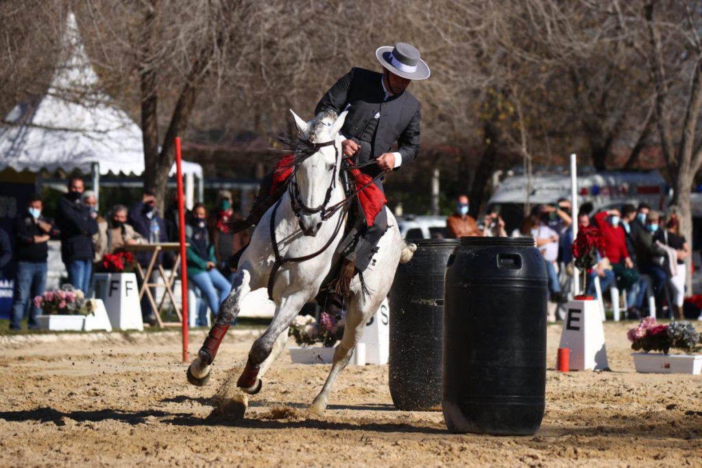Campeonato de España de Equitación de Trabajo en la Feria del Caballo y del Toro Ecuextre 2021de Badajoz equitacion trabajo