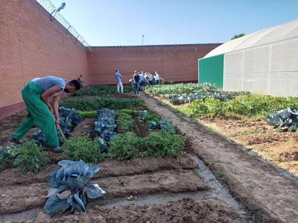 La primera promoción de alumnos de FP Básica del Centro Penitenciario de Badajoz finaliza sus estudios pri ba 1